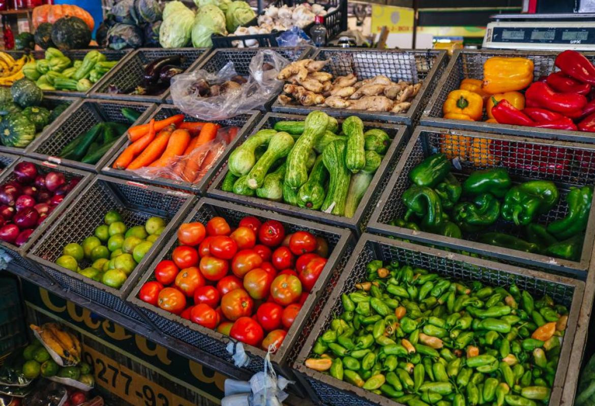 O Brasil necessita da agricultura familiar para crescer sem fome