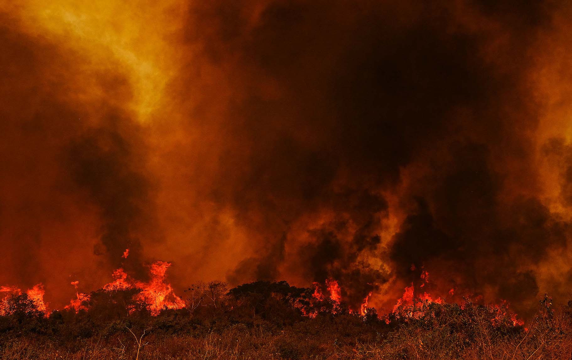 Meio ambiente: inação do governo Bolsonaro contra incêndios pode configurar crime