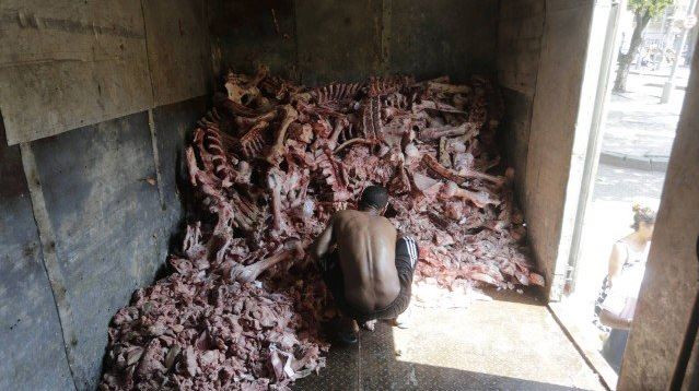 Garimpo contra a fome: sem comida, moradores do Rio recorrem a restos de ossos e carne rejeitados por supermercados