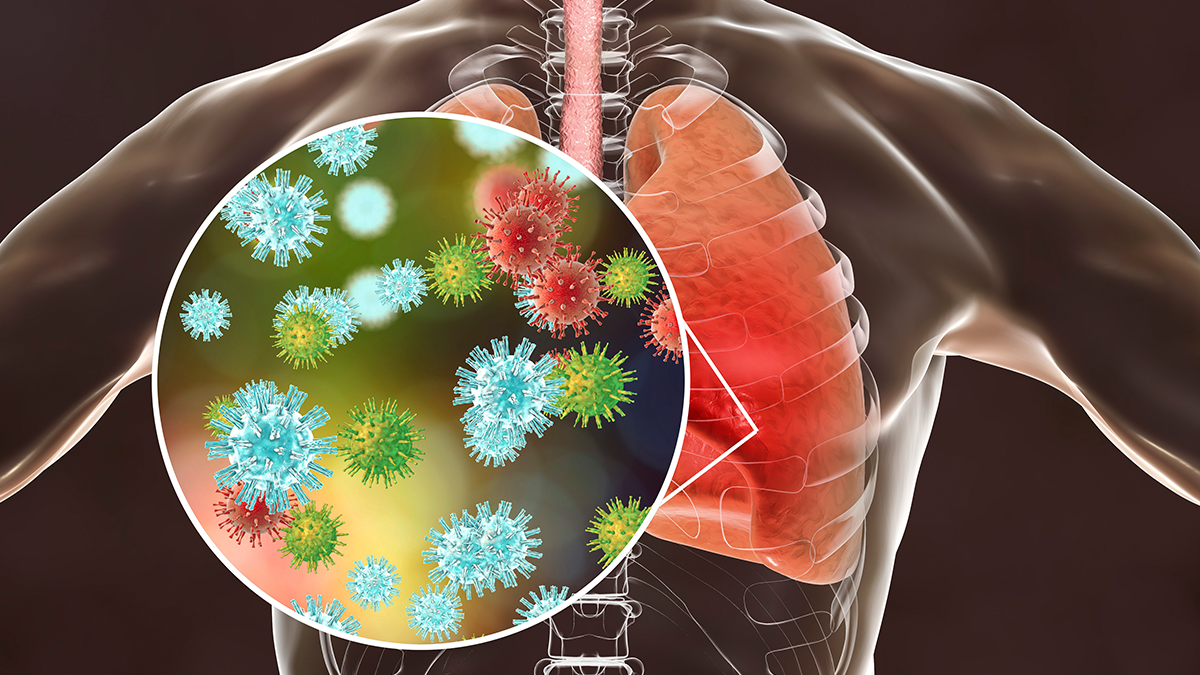 Coronavírus: Como enfrentar a pandemia?